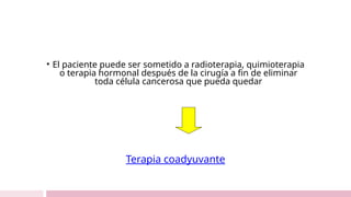 • El paciente puede ser sometido a radioterapia, quimioterapia
o terapia hormonal después de la cirugía a fin de eliminar
toda célula cancerosa que pueda quedar
Terapia coadyuvante
 