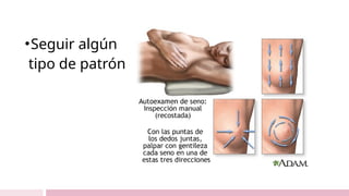 •Seguir algún
tipo de patrón
 