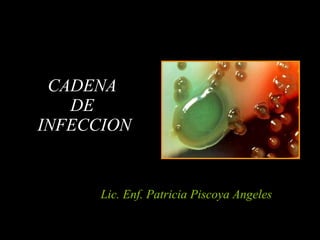 Lic. Enf. Patricia Piscoya Angeles CADENA  DE  INFECCION 