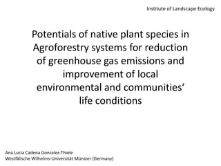 Institute of Landscape Ecology

Potentials of native plant species in
Agroforestry systems for reduction
of greenhouse gas emissions and
improvement of local
environmental and communities‘
life conditions

Ana Lucia Cadena Gonzalez-Thiele
Westfälische Wilhelms-Universität Münster (Germany)

 