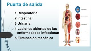 Puerta de salida
1.Respiratoria
2.Intestinal
3.Urinaria
4.Lesiones abiertas de las
enfermedades infecciosas
5.Eliminación mecánica
 