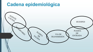 Cadena epidemiológica
VIA DE
TRANSMISIÓN
PUERTA
DE
ENTRADA
HUESPED
 