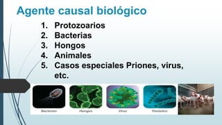Agente causal biológico
1. Protozoarios
2. Bacterias
3. Hongos
4. Animales
5. Casos especiales Priones, virus,
etc.
 
