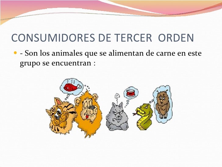 cadena alimenticia que son los consumidores cadena alimenticia cadena alimenticia que son los consumidores cadena alimenticia