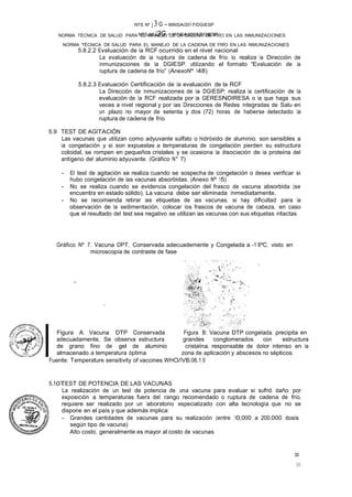 NTS Nº J3G - MINSA/2017/DGIESP
NORMA TÉCNICA DE SALUD PARA EL MANEJO DE LA CADENA DE FRÍO EN LAS INMUNIZACIONES
NTS Nº j 3 G - MINSA/2017/DGIESP
NORMA TÉCNICA DE SALUD PARA EL MANEJO DE LA CADENA DE FRÍO EN LAS INMUNIZACIONES
30
30
5.8.2.2 Evaluación de la RCF ocurrido en el nivel nacional
La evaluación de la ruptura de cadena de frío, lo realiza la Dirección de
Inmunizaciones de la DGIESP, utilizando el formato "Evaluación de la
ruptura de cadena de frío" (AnexoNº 148)
5.8.2.3 Evaluación Certificación de la evaluación de la RCF
La Dirección de Inmunizaciones de la DGIESP; realiza la certificación de la
evaluación de la RCF realizada por la GERESNDIRESA o la que haga sus
veces a nivel regional y por las Direcciones de Redes Integradas de Salu en
un plazo no mayor de setenta y dos (72) horas de haberse detectado la
ruptura de cadena de frío.
5.9 TEST DE AGITACIÓN
Las vacunas que utilizan como adyuvante sulfato o hidróxido de aluminio, son sensibles a
la congelación y si son expuestas a temperaturas de congelación pierden su estructura
coloidal, se rompen en pequeños cristales y se ocasiona la disociación de la proteína del
antígeno del aluminio adyuvante. (Gráfico N° 7)
- El test de agitación se realiza cuando se sospecha de congelación o desea verificar si
hubo congelación de las vacunas absorbidas. (Anexo Nº 15)
- No se realiza cuando se evidencia congelación del frasco de vacuna absorbida (se
encuentra en estado sólido). La vacuna debe ser eliminada Inmediatamente.
- No se recomienda retirar las etiquetas de las vacunas, si hay dificultad para la
observación de la sedimentación, colocar los frascos de vacuna de cabeza, en caso
que el resultado del test sea negativo se utilizan las vacunas con sus etiquetas intactas.
Gráfico Nº 7. Vacuna DPT, Conservada adecuademente y Congelada a -1 BºC, visto en
microscopía de contraste de fase

..
. ..
Figura A: Vacuna DTP Conservada Figura B: Vacuna DTP congelada, precipita en.
adecuadamente, Se observa estructura grandes conglomerados con estructura
de grano fino de gel de aluminio cristalina, responsable de dolor intenso en la
almacenado a temperatura óptima. zona de aplicación y abscesos no sépticos.
Fuente: Temperature sensitivity of vaccines _WHO/IVBJ.06.1_0
5.10TEST DE POTENCIA DE LAS VACUNAS
La realización de un test· de potencia de una vacuna para evaluar si sufrió daño por
exposición a temperaturas fuera del rango recomendado o ruptura de cadena de frío,
requiere ser realizado por un laboratorio especializado con alta tecnología que no se
dispone en el país y que además implica:
- Grandes cantidades de vacunas para su realización (entre 10,000 a 200,000 dosis
según tipo de vacuna)
Alto costo, generalmente es mayor al costo de vacunas.
 