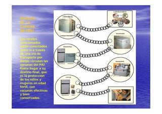NIVELES
DE LA
CADENA
DE FRIO

Los niveles
mencionados
están conectados
entre sí a través
de una vía de
transporte por
donde circulan las
vacunas del PAI
hasta llegar a su
          g
destino final, que
es la protección
de los niños y
mujeres en edad
fértil, con
vacunas efectivas
y bien
conservadas.
 