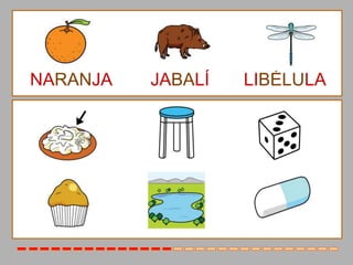 NARANJA   JABALÍ   LIBÉLULA
 