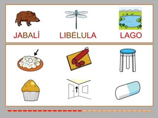 JABALÍ   LIBÉLULA   LAGO
 