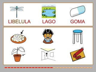 LIBÉLULA   LAGO   GOMA
 