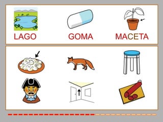 LAGO   GOMA   MACETA
 