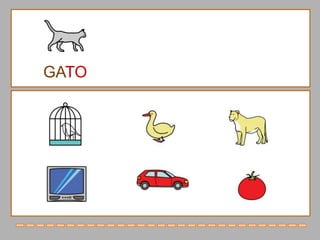 GATO
 