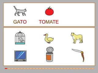 GATO   TOMATE
 