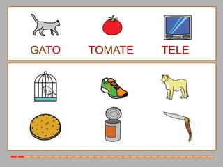 GATO   TOMATE   TELE
 