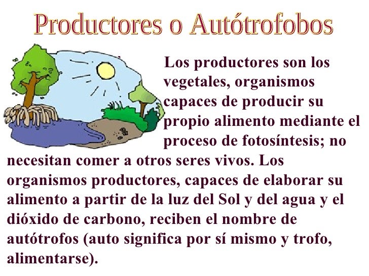 Cadena alimentaria