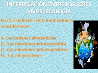 INTERRELACIÒN ENTRE LOS SERES VIVOS :ECOLOGIA En el estudio de estas interacciones consideramos :A. Las cadenas alimenticias B._Las relaciones intraespecìficaC._Las relaciones interespecìficas D._Las adaptaciones