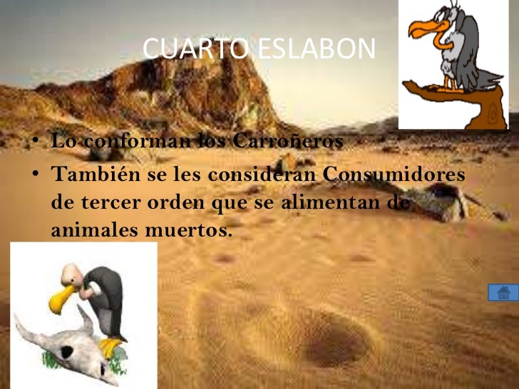 Cadena