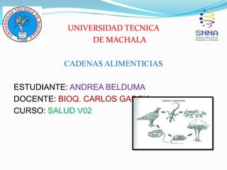 UNIVERSIDAD TECNICA
DE MACHALA
CADENAS ALIMENTICIAS
ESTUDIANTE: ANDREA BELDUMA
DOCENTE: BIOQ. CARLOS GARCIA
CURSO: SALUD V02
 