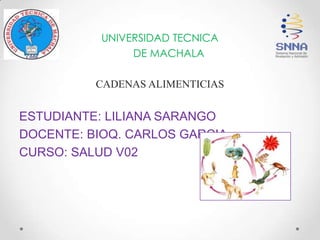 UNIVERSIDAD TECNICA
DE MACHALA
CADENAS ALIMENTICIAS
ESTUDIANTE: LILIANA SARANGO
DOCENTE: BIOQ. CARLOS GARCIA
CURSO: SALUD V02
 