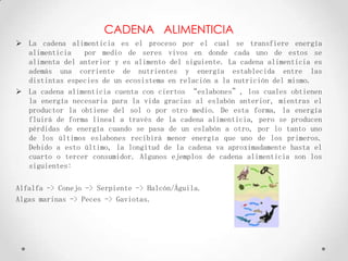 CADENA ALIMENTICIA
 La cadena alimenticia es el proceso por el cual se transfiere energía
alimenticia por medio de seres vivos en donde cada uno de estos se
alimenta del anterior y es alimento del siguiente. La cadena alimenticia es
además una corriente de nutrientes y energía establecida entre las
distintas especies de un ecosistema en relación a la nutrición del mismo.
 La cadena alimenticia cuenta con ciertos “eslabones”, los cuales obtienen
la energía necesaria para la vida gracias al eslabón anterior, mientras el
productor la obtiene del sol o por otro medio. De esta forma, la energía
fluirá de forma lineal a través de la cadena alimenticia, pero se producen
pérdidas de energía cuando se pasa de un eslabón a otro, por lo tanto uno
de los últimos eslabones recibirá menor energía que uno de los primeros.
Debido a esto último, la longitud de la cadena va aproximadamente hasta el
cuarto o tercer consumidor. Algunos ejemplos de cadena alimenticia son los
siguientes:
Alfalfa -> Conejo -> Serpiente -> Halcón/Águila.
Algas marinas -> Peces -> Gaviotas.
 