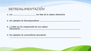 RETROALIMENTACIÓN
1. Los ________________________________ son base de la cadena alimenticia
2. Son ejemplos de descomponedores __________________________________________________________
3. ¿ Cuáles son los componentes de una cadena
alimentaria?____________________________________________________________________________________
4. Son ejemplos de consumidores secundarios
_____________________________________________________________________________________________________
 