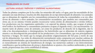 TRABAJEMOS EN CLASE
LECTURA NIVELES TRÓFICOS Y CADENAS ALIMENTARIAS
 