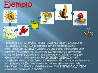 Ejemplo




En cuanto a la ENERGÍA: En una CADENA ALIMENTARIA la
ENERGÍA LUMINOSA es captada por los vegetales que la
transforman en ENERGÍA QUÍMICA que queda almacenada en el
alimento. Al consumir una Langosta (Consumidor 1°) ese vegetal
consume Energía Química y si esa langosta es comida por un Sapo
(Consumidor 2°) consume también ENERGÍA QUÍMICA y así
sucesivamente entre los distintos integrantes de una cadena alimentaria
hasta llegar a los Descomponedores que transforman la materia
orgánica en inorgánica y devuelven al medio la ENERGÍA QUÍMICA
para iniciar nuevamente el ciclo.
 
