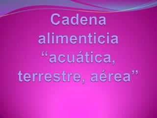 Cadena alimenticia concatenada