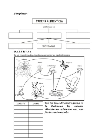 Completar:
O B S E R V A :
En un ecosistema imaginario encontramos los siguientes seres.
Con los datos del cuadro, forma en
la ilustración las cadenas
alimentarias señalando con una
flecha: es alimento de:
Conejo
Zorro
Lagartija
Águila
Pájaro
Mariposa
Saltamontes
Hierba
Arbusto
ALIMENTO ANIMAL
 