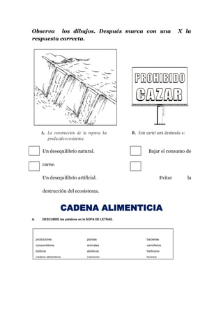 Observa los dibujos. Después marca con una X la
respuesta correcta.
Un desequilibrio natural. Bajar el consumo de
carne.
Un desequilibrio artificial. Evitar la
destrucción del ecosistema.
CADENA ALIMENTICIA
A. DESCUBRE las palabras en la SOPA DE LETRAS.
A. La construcción de la represa ha
producido ecosistema.
B. Este cartel será destinado a:
productores
consumidores
bióticos
cadena alimenticia
seres vivos
plantas
animales
abióticos
carnívoro
ecología
bacterias
carroñeros
herbívoro
hongos
desintegradores
 