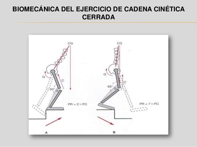 cadena cinetica ejercicios cadena cinetica cadena cinetica ejercicios cadena cinetica