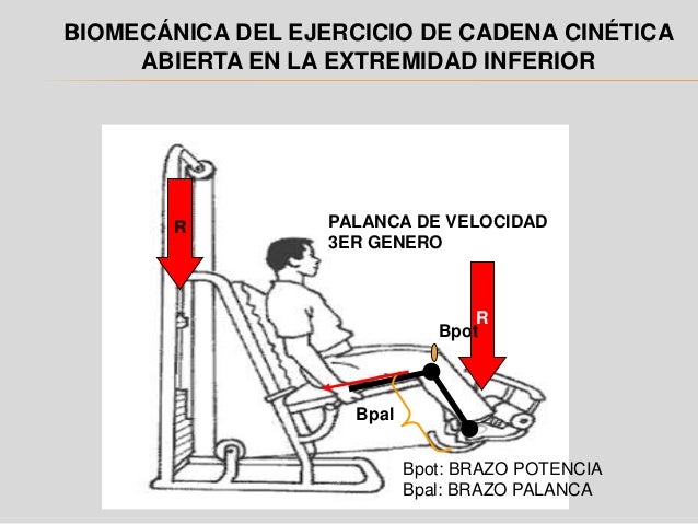 cadena cinetica ejercicios cadena cinetica cadena cinetica ejercicios cadena cinetica