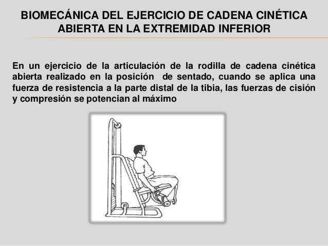 cadena cinetica cerrada y abierta ejemplos cadena cinetica cadena cinetica cerrada y abierta ejemplos cadena cinetica