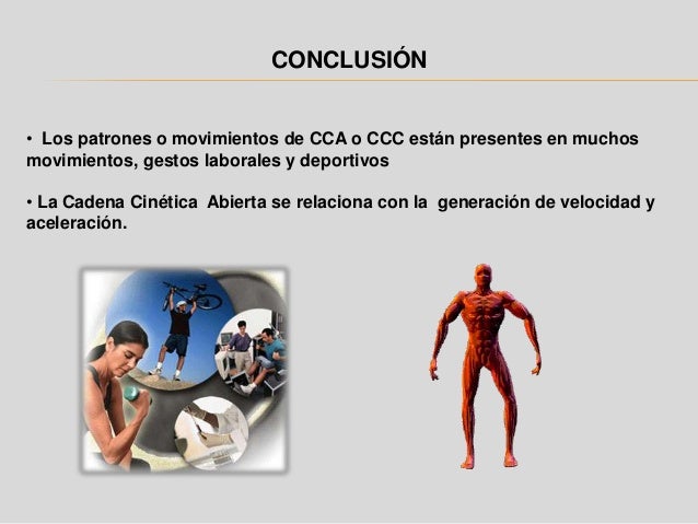 cadena cinetica ejercicios cadena cinetica cadena cinetica ejercicios cadena cinetica