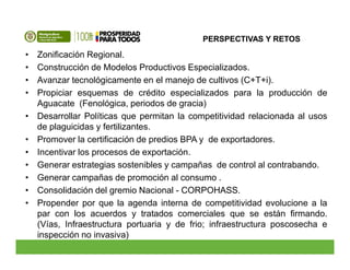 PERSPECTIVAS Y RETOSPERSPECTIVAS Y RETOS
• Zonificación Regional.
• Construcción de Modelos Productivos Especializados.
• ...