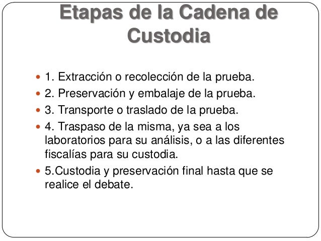 Cadena de custodia