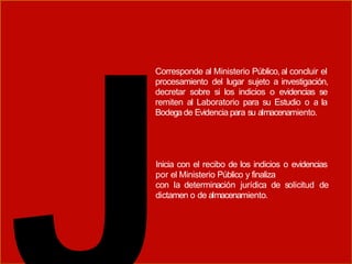 Corresponde al Ministerio Público,al concluir el
procesamiento del lugar sujeto a investigación,
decretar sobre si los indicios o evidencias se
remiten al Laboratorio para su Estudio o a la
Bodegade Evidencia para su almacenamiento.
Inicia con el recibo de los indicios o evidencias
por el Ministerio Público y finaliza
con la determinación jurídica de solicitud de
dictamen o de almacenamiento.
 