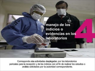manejo de los
indicios o
evidencias en los
laboratorios
Corresponde alasactividades desplegadas por los laboratorios
periciales para la recepción y de los indicios con el fin de realizar los estudios o
análisis solicitados por la autoridad correspondiente.
 