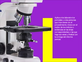 Aplica a los laboratorios
periciales y alas personas
que intervienen en el
procedimiento.Inicia con el
recibo de los indicios o
evidencias en las áreas
correspondientes o las que
haga sus veces y finaliza con
laentrega del informe
pericial.
 