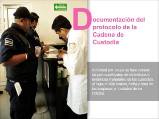 ocumentación del
protocolo de la
Cadena de
Custodia
D
Actividad por la que se hace constar
las particularidades de los indicios o
evidencias materiales, de los custodios,
el lugar,el sitio exacto,fecha y hora de
los traspasos y traslados de los
indicios.
 