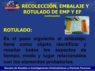 Escuela de Estudios e Investigaciones Criminalísticas y Ciencias Forenses
ROTULADO:
Es el paso siguiente al embalaje;
tiene como objeto identificar y
reseñar todos los aspectos de
tiempo, modo y lugar relacionados
con los elementos probatorios.
5. RECOLECCIÓN, EMBALAJE Y
ROTULADO DE EMP Y EF
(continuación)
 
