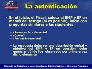 Escuela de Estudios e Investigaciones Criminalísticas y Ciencias Forenses
La autenticación
• En el juicio, el Fiscal, coloca el EMP y EF en
manos del testigo (si es posible), inicia con
preguntas similares a las siguientes:
– ¿Reconoce éste elemento?
– ¿Qué es?
– ¿Por qué lo reconoce?
– La respuesta debe ser una descripción verbal y
objetiva del EMP y EF en cuestión, debe
enunciar dónde fue observado por primera vez
dicho elemento
 