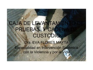 CAJA DE LEVANTAMIENTO DE 
PRUEBAS Y CADENA DE 
CUSTODIO 
Dra. EVA FLORES MAYTA 
Especialidad en Intervención Sistémica 
con la Violencia y por la Vida 
 