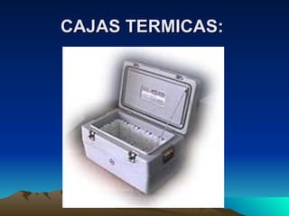 CAJAS TERMICAS:   