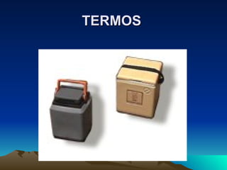 TERMOS   
