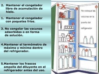   Mantener el congelador  libre de acumulación de hielo. Mantener el congelador  con  paquetes fríos . 3.   No congelar las vacunas  adsorbidas o en forma de solución. 4.Mantener el termómetro de  máximo y mínimo dentro  del refrigerador. 5 . Mantener los frascos  ampolla del diluyente en el  refrigerador antes del uso. 