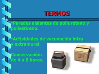 TERMOS Paredes aislantes de poliuretano y poliestireno.  Actividades de vacunación intra y extramural. Conservación:  de 4 a 8 horas. 