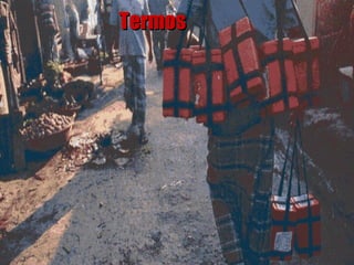 Termos 