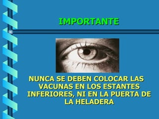 IMPORTANTE NUNCA SE DEBEN COLOCAR LAS VACUNAS EN LOS ESTANTES INFERIORES, NI EN LA PUERTA DE LA HELADERA 