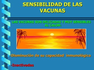 SENSIBILIDAD DE LAS VACUNAS LAS VACUNAS SON DELICADAS Y MUY SENSIBLES AL CALOR: -Disminución de su capacidad  inmunológica -Inactivadas 