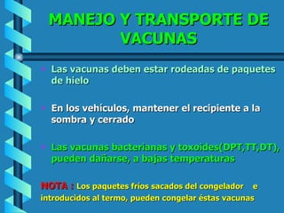 MANEJO Y TRANSPORTE DE VACUNAS Las vacunas deben estar   rodeadas de paquetes de hielo En los vehículos, mantener el recipiente a la sombra y cerrado Las vacunas bacterianas y toxoides(DPT,TT,DT), pueden dañarse, a bajas temperaturas NOTA :  Los paquetes fríos sacados del congelador  e  introducidos al termo, pueden congelar éstas vacunas 